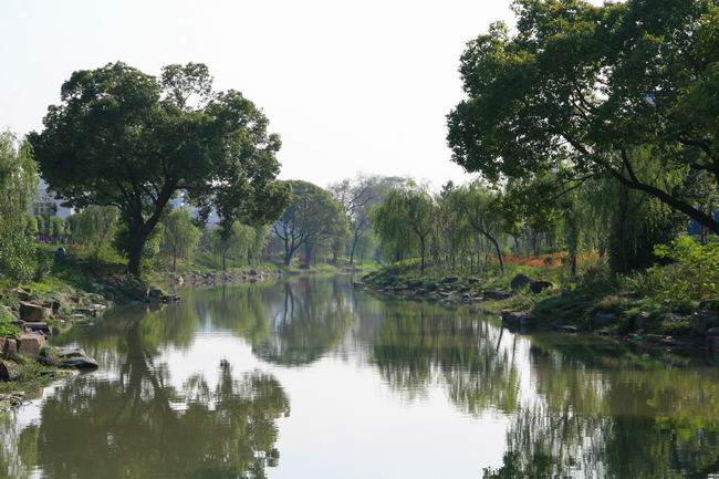 诸家河河道整治工程